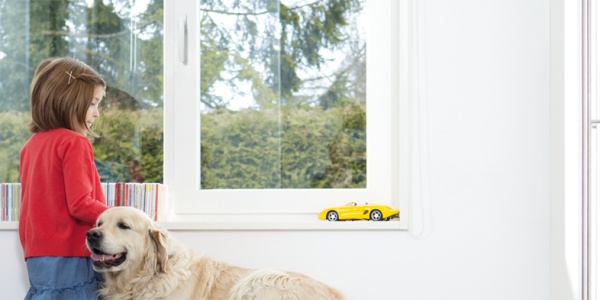 Servicepagina-kugeko maassluis